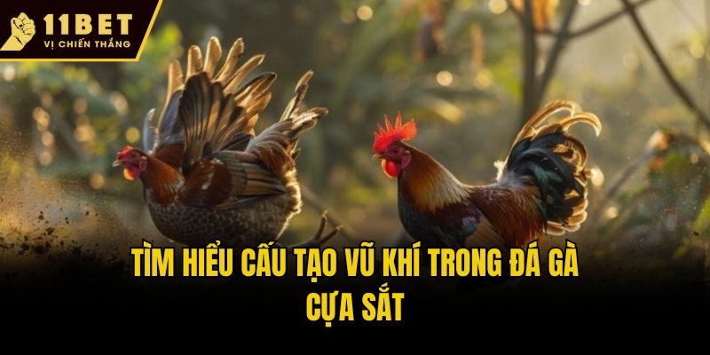 Tìm hiểu cấu tạo vũ khí trong đá gà cựa sắt